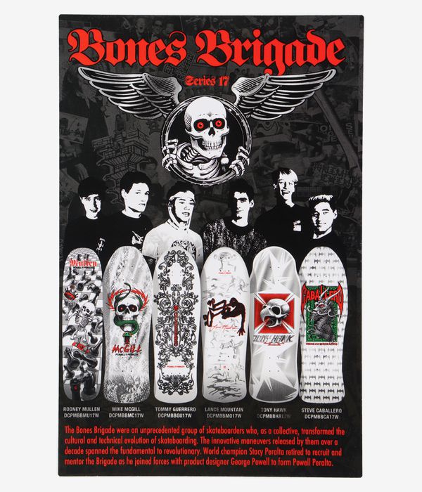 Powell-Peralta Mountain BB Limited Edition S17 9.94" Deska do deskorolki (white)