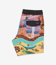 Volcom Featured Artist Mickey Mason 17 Boardshorts (multi)