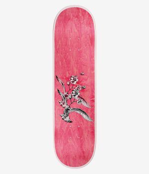 Baker Peterson Frenz 8.125" Planche de skateboard (multi)