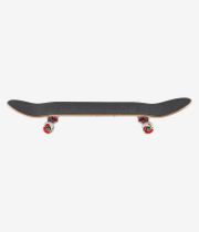 Toy Machine Sect Guts 8.38" Complete-Board (multi)