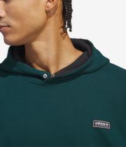 adidas Gonz Graph Hoodie (aurora ivy black)