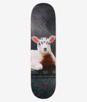 Sci-Fi Fantasy Hsu Lamb 8.25" Planche de skateboard (multi)