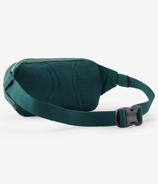 Patagonia Terravia Mini Hip Borsa 1L (cascade green)