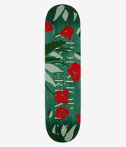 Pop Trading Company Tulip 8.125" Planche de skateboard (multi)