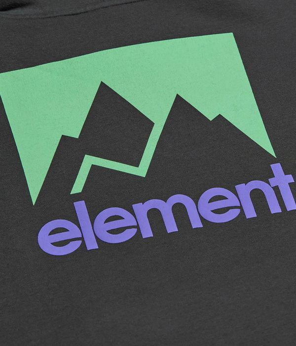 Element Joint Hoodie kids (off black 263)