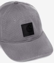 Carhartt WIP Canvas Dearborn Uncoated Cap (yosemite manta)
