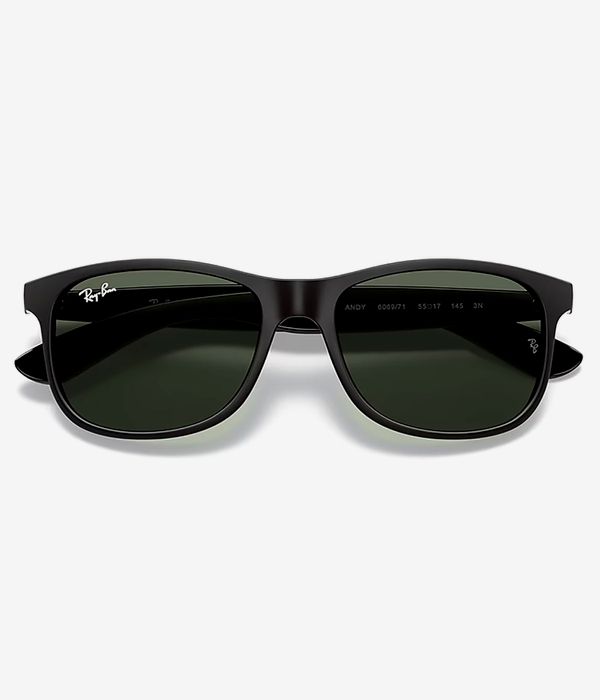 Ray-Ban Andy Sunglasses 55mm (matte black on black)