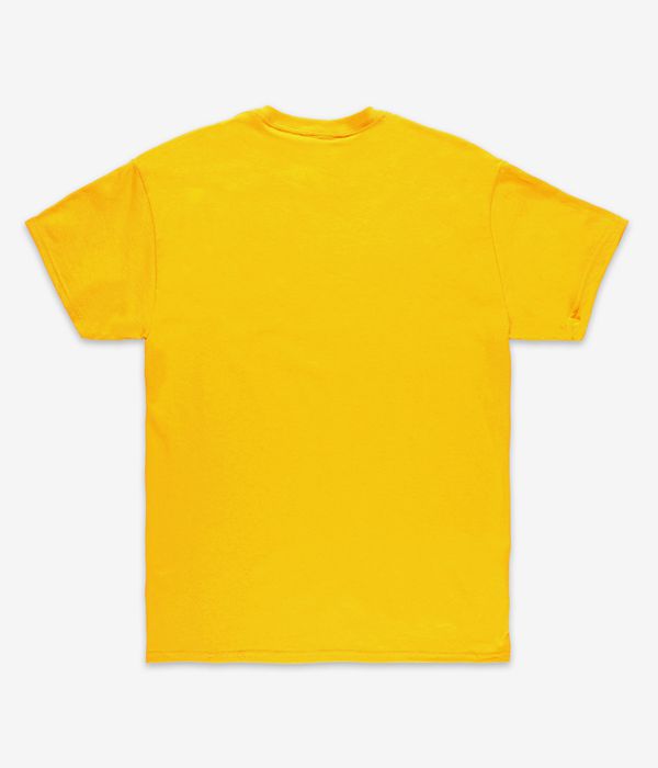 Thrasher Skate Mag Camiseta (gold purple)