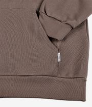 Iriedaily Mini Flag 2 Zip-Sweatshirt avec capuchon (mocca)