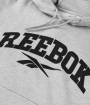 Reebok Colman Hoodie (grey)