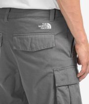 The North Face Anticline Cargo Shorts (smo)