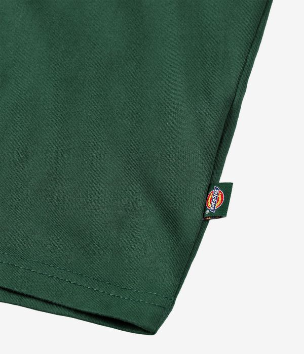Dickies Mapleton T-shirt (pine needle green)