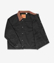 Levi's East Port Veste (meteorite)