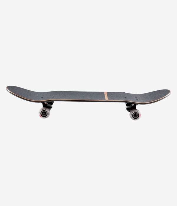 Globe Parallel 8.25" Board-Complète (midnight prism realm)