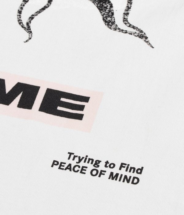 Primitive x Sublime Arise T-Shirty (white)