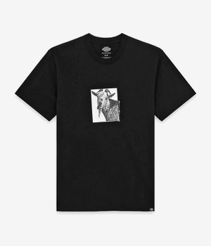 Dickies x Mike Anderson Graphik T-Shirt (black)