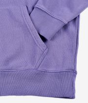 Element Cornell 3.0 Hoodie (veronica)