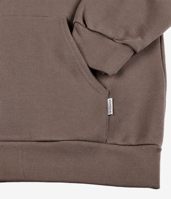 Iriedaily Mini Flag 2 Zip-Sweatshirt avec capuchon (mocca)