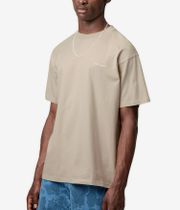 Carhartt WIP Script Embroidery T-Shirt (barchan white)