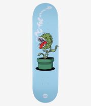 Jart Stay High Pakkun Flower 8.125" Deska do deskorolki (blue green)
