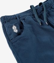 skatedeluxe Symmetry Shorts (navy)