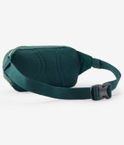 Patagonia Terravia Mini Hip Borsa 1L (cascade green)
