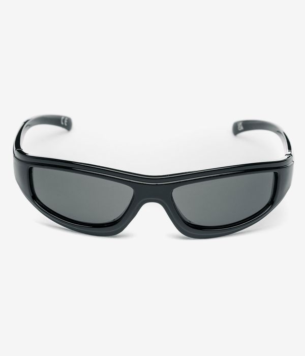 Vans Felix Sunglasses (black)