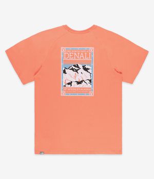 The North Face North Faces T-Shirty (dusty coral orange)