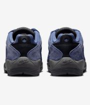Nike SB Vertebrae Chaussure (diffused blue campfire orange an)