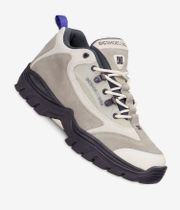 DC Recon Shoes (olive offwhite)