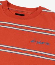 DC Maximize Stripe T-Shirt (picante)