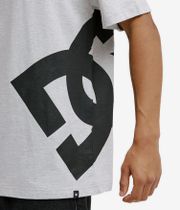 DC Lanai T-Shirt (light heather grey)