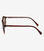 Anuell Penock Sunglasses (brown crystal)