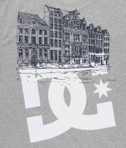 DC x Ben G Amsterdam T-Shirt (grey)