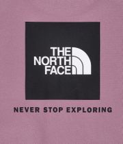 The North Face Raglan Redbox Sweatshirt (fawn grey)