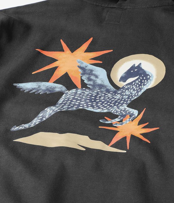 RVCA Pegasus Hoodie (pirate black)