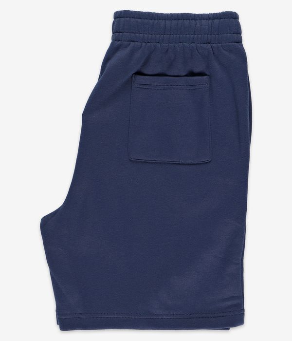 Nike SB GFX Shorts (midnight navy gym red)